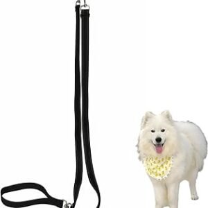 Double Ended Dog Leash, No Pull Two Point Control Training Lead