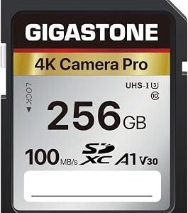Gigastone 256GB SDXC Memory Card 4K Pro Series Camera Transfer Speed Up to 100MB/s Compatible with Canon Nikon Sony Camcorder, A1 V30 UHS-I Class 10 for 4K UHD Video