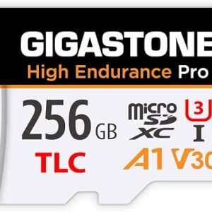 ?5 Yrs Free Data Recovery?GIGASTONE 256GB Micro SD Card, High Endurance Pro Series Speed Up to 100MB/s, Compatible with REDTIGER ROVE VIOFO VANTRUE PRUVEEO ARIFAYZ Dash Cam, MicroSDXC UHS-I A1 V30 U3