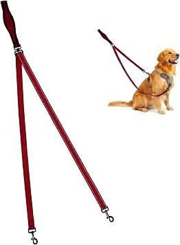 Double Ended Dog Lead for Medium and Large Dogs, 2 Point Control Double Clip Lead with 360? Swivel Clip, Heavy Duty Dog Leash with Soft Comfortable Handle and Reflective Stitching (Red)