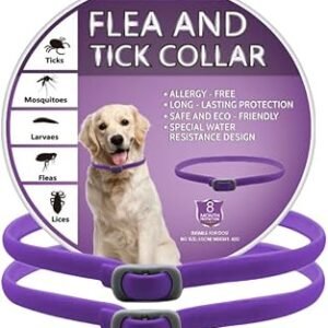 2 piece Collar Dog, Collars for Dogs, Soft & Lightweight Dog Collar for Everyday Wear, Safe Waterproof Adjustable, One Size Fits All, purple