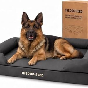 The Dog?s Bed Orthopaedic Memory Foam Dog Bed with Bolster for XL Dogs