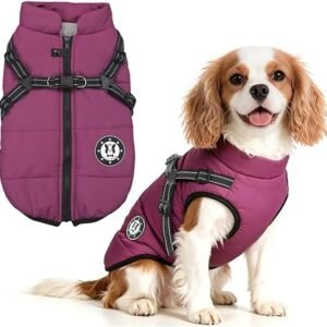 Warm Dog Coats Waterproof Upgrade Clothes for Winter Cold Weather Cozy Dog Coat with Harness for Small Medium Large Dogs