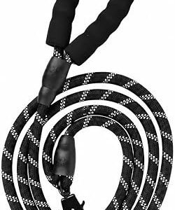 2-Meter Dog Leash with Soft Handle, 360? Swivel Buckle with Lock, Strong and Durable