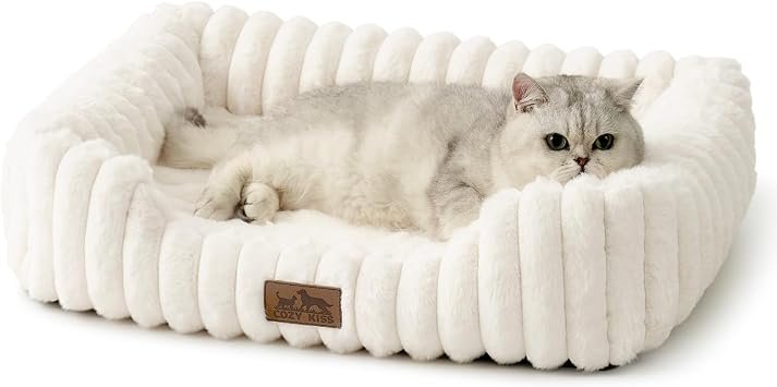 COZY KISS Cat Bed 64x53cm for Indoor Cats, Orthopedic Small Dog Bed, Cream