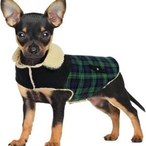 CITÉTOILE Dog Coat Warm Fleece Dog Jacket Green XS | Windproof Winter Dog Costume for Small Large Dog, Cozy Cold Weather Apparel for Snow & Christmas,...