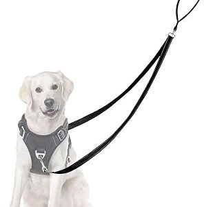 Two Point Control Dog Leash, Professional Anti-Pull Dog Lead with Reflective Stitching and Soft Padded, Works with No Pull Harnesses, Easy to Convert to Single Lead for Small Medium Dogs(Black)