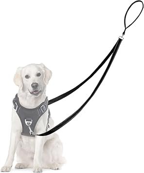 Two Point Control Dog Leash, Professional Anti-Pull Dog Lead with Reflective Stitching and Soft Padded, Works with No Pull Harnesses, Easy to Convert to Single Lead for Small Medium Dogs(Black)