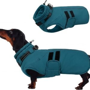 IECOii Dog Jackets for Medium Dogs,Waterproof Winter Coat with Harness,Reflective Adjustable Hook&Loop Warm Dog Snowsuit for Cold Weather,Fleece Turtleneck Winter Coat,Extra Warm Dog Coats,Lake-Blue,M