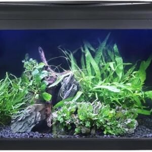 Swell 54 L Tropical Aquarium Kit, 60 cm Fish Tank, LED, Filter, Heater | 54 L glass tank with LED, filter, heater, net, thermometer, dechlorinator and food,...