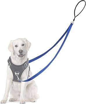 Two Point Control Dog Leash, Professional Anti-Pull Dog Lead with Reflective Stitching and Soft Padded, Works with No Pull Harnesses, Easy to Convert to Single Lead for Small Medium Dogs (Blue)