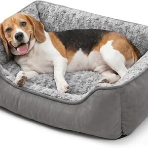 Oiilores Dog Sofa Bed Washable for Small Medium Dogs, Soft Plush Calming Beds with Non-Slip Bottom - Anti-Anxiety Rectangle Puppy Mat (60 x 45 cm, Grey)