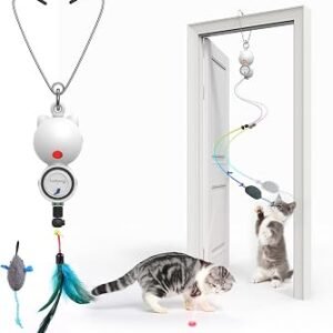 Cat Toys for Indoor Cats Adult, Interactive Cat Toy, Feather & Mouse