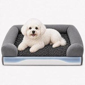 Orthopaedic Dog Bed, Small Dog Bed 65x53x16cm | Dual-Layer Memory Foam & High-Resilience Foam Dog Sofa with Waterproof Liner, Soft Plush Bolsters | Removable Cover, Non-Slip Base Dog Mattress