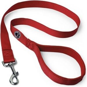 iGadgitz Home U7159 Padded Handle Dog Lead Leash - Red - 100cm (1m) 3ft 4"