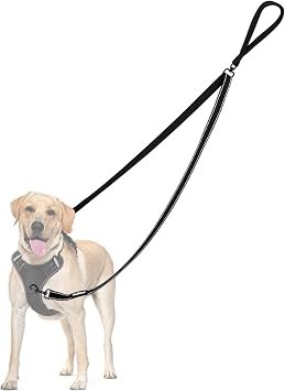PetBonus Two Point Control Dog Lead, No Tangle Training Walking Leads