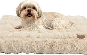 BingoPaw Dog Bed Medium Washable Removable Cover Beige M(76x51x10cm)