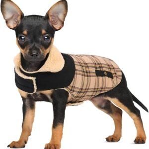 CITÉTOILE Dog Coat Warm Fleece Dog Jacket Beig XS | Windproof Winter Dog Costume for Small Large Dog, Cozy Cold Weather Apparel for Snow & Christmas,...