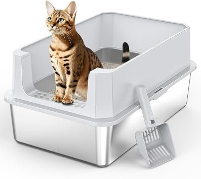 Cat Box Litter