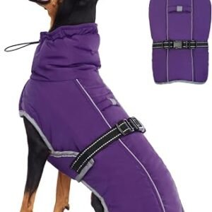 Coat for Medium Dogs, Waterproof Vest, Reflective Warm Snow Coat, Cold Weather Apparel, Windproof Adjustable Snowsuit With Fleece Lined, French Bulldog Purple L