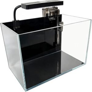 Fish Tank with Filter, Led Light, Aquascape Starter Aquarium Set, Betta Fish Tank (10L)