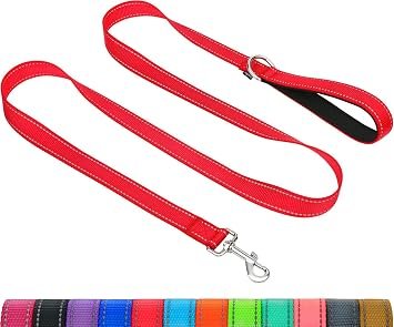 Taglory Dog Lead for Small Medium Dogs with Padded Handle, Red, 180x2.0cm