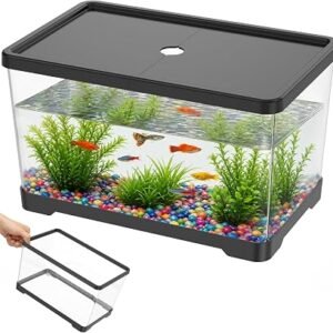 Small Fish Tank with Lid, Clear PC Desktop Aquarium for Small Animals Terrarium Insects Betta Fish Turtle Shrimp and Aquatic Plants, Decorative Habitat Container for Home Office 30x19.5x17.5cm(Black)