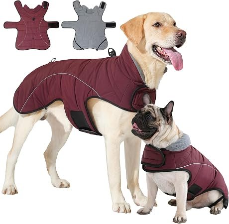 Dog Coats