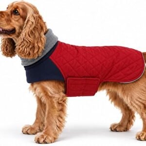 babepet Cocker Spaniel Coat, Waterproof Winter Dog Coat with Warm Lining | Reflective Dog Jacket with Leash Hole/Turtle Neck, Underbelly Dog Coats for...