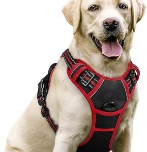 rabbitgoo Dog Harness Large Dog, No Pull Vest with Front Clip & Handle