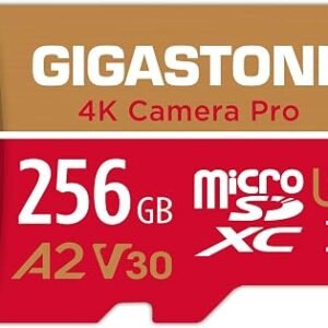 ?5-Years Data Recovery?GIGASTONE 256GB Micro SD Card, 4K Camera Pro, A2 V30 for Smartphone, Gopro, Action Cams, 4K UHD Video, Nintendo-Switch Compatible, Up to 100MB/s, UHS-I U3 C10 with Adapter