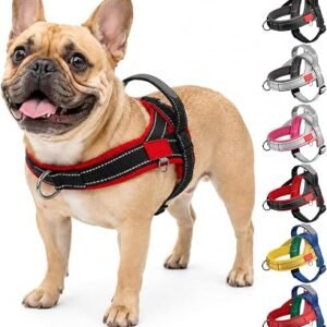 No Pull Dog Harness, Reflective Adjustable Anti Pull Dog Harness with Front Back Clips, No-Choke Soft Padded Puppy Harness with Handle for Small Medium Dogs Walking (Black Red, S)