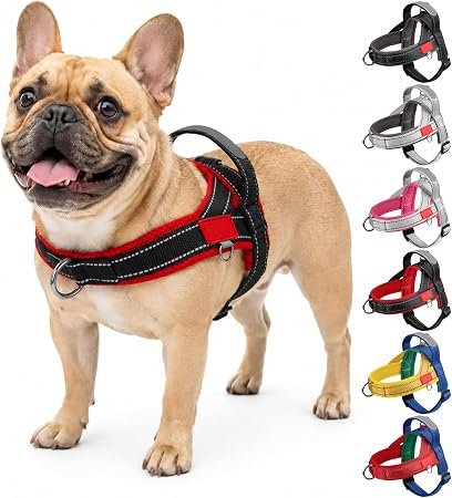 No Pull Dog Harness, Reflective Adjustable Anti Pull Dog Harness with Front Back Clips, No-Choke Soft Padded Puppy Harness with Handle for Small Medium Dogs Walking (Black Red, S)
