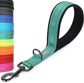 VIVAGLORY Short Dog Lead Closelyt Traffic Leash for Dog, 32cm, Turquoise