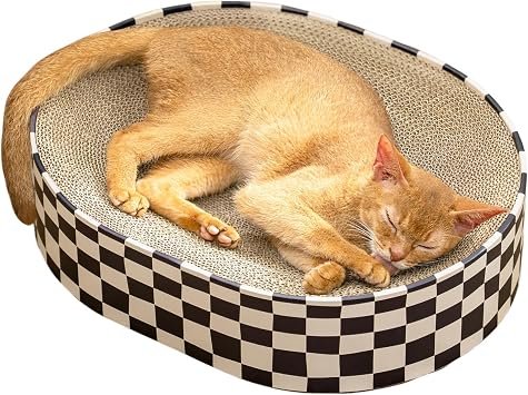 Conlun Oval Cat Scratching Board | Scratcher Bed Lounge for Kitten | Medium