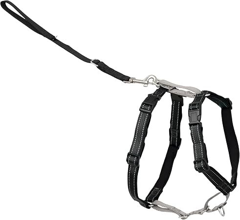 PetSafe 3 in 1 Dog Harness - No Pull Solution for Dogs - Reflective Dog Harness - Front D-Ring Clip Helps Stop Pulling - Comfortable Padded Straps - Top Handle Enhances Control - Black - Extra Small