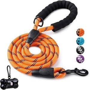 5 FT Strong Dog Leash with Comfortable Padded Handle and Highly Reflective Threads for Medium and Large Dogs (5-FT, Orange)