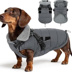 ASENKU Size M Medium Dog Waterproof Winter Coat with Integrated Harness ? Warm Fleece Lined Reflective Jacket for Corgi French Bulldog Dachshund Spaniel, UK Daily Walks Rainy Hiking