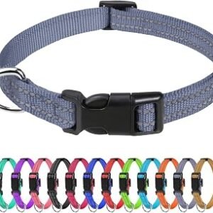Reflective Dog Collar for Small Dogs & Puppies Classic Nylon Pet Collar Lightweight Adjustable 20?30cm Quick Release Buckle High Visibility Stitching 1.0 cm Width, Grey
