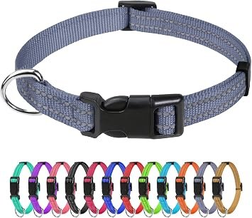 Reflective Dog Collar for Small Dogs & Puppies Classic Nylon Pet Collar Lightweight Adjustable 20?30cm Quick Release Buckle High Visibility Stitching 1.0 cm Width, Grey