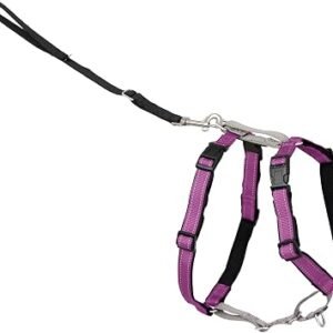 PetSafe 3 in 1 Harness and Car Restraint, Small, Plum, No Pull, Adjustable, Training for small/medium/large dogs