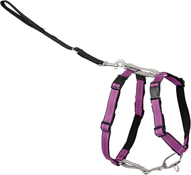 PetSafe 3 in 1 Harness and Car Restraint, Small, Plum, No Pull, Adjustable, Training for small/medium/large dogs
