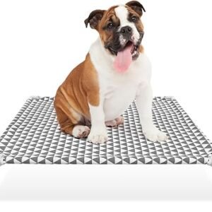 Kuntrust Elevated Outdoor Dog Bed Updated Raised Pet Cot Dog Sun Bed Lifted Dog Bed for Medium Dogs|Indoor Pet Hammock Bed with Double-Layer Cloth,Non-Slip Feet,Fits up to 70lbs