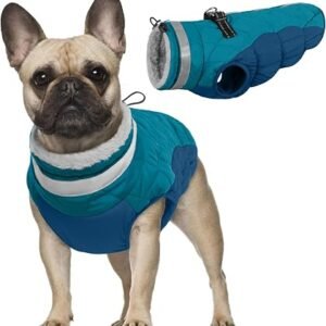 Waterproof Dog Coat, Windproof Warm Coat Winter Jacket Small Dog Cotton Coat Warm Outfit Frenchie Winter Coat Keeps Pets Warm Especially in Cold Temperatures(Dark green, S)