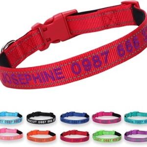 Personalized Embroidered Dog Collar with Neoprene Padding, Red