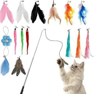 Cat Wand Toy 15PCS 1 Stainless Steel Cat Wand and 14 Assorted Interchangeable Attachments, Retractable Wand, Feathers & Tassels, Worm & Plush Toys, Interactive Play