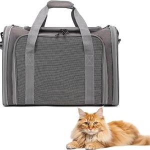 Collapsible Cat Carrier, Soft-Sided Pet Travel Carrier with Multi-Entry & Padded Shoulder Strap, 45x30x30cm for Cats/Small Dogs/Pets up to 14.5 lbs (Grey)