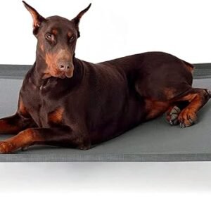 Bedsure Raised Dog Bed Large - Raised Waterproof Dog Bed