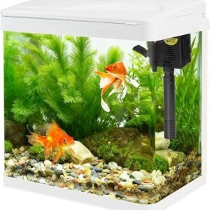 Small Glass Aquarium Tank 8L with Filter and Light, All-in-One Desktop Glass Fish Tank Kit with Pump for Goldfish, Betta, Shrimp, White