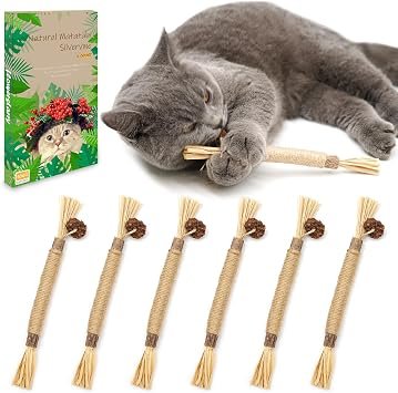 6 Packs Natural Matatabi Silvervine Chew Sticks, Cat Toys Kitten Chew Toys Cat Teeth Cleaning Toys for Indoor Kitten Teething and Stress Release